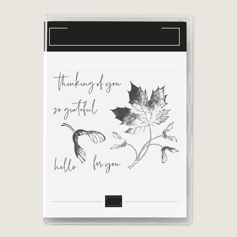 Új őszi levelek Fémvágó szerszámok és puha palánták Tiszta bélyegkészletek a DIY fesztiválhoz Papíralbum Grateful Card 2022 Kép 0