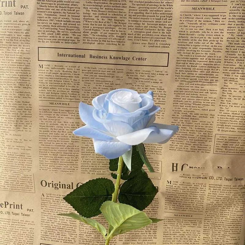 Valentin-napi szimuláció Hidratáló érzés Egyetlen törött jég Kék rózsa Lakberendezés Fotózás Rózsa Kép 3