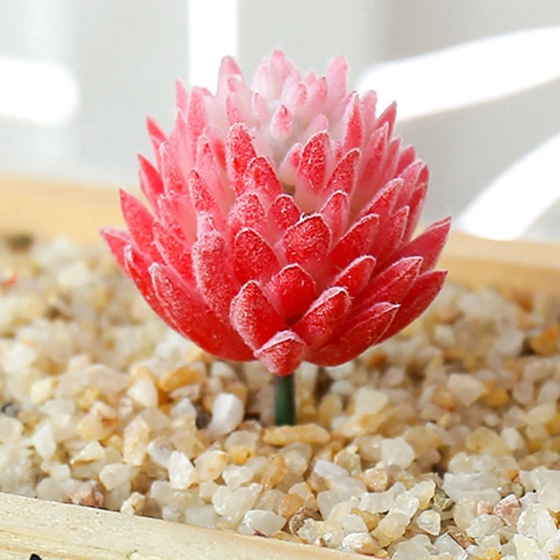 4PCS Mű zamatos növény Reális mesterséges zamatos irodai íróasztaldíszek DIY esküvői otthon Kerti dekoráció Mini bonsai növény Kép 4